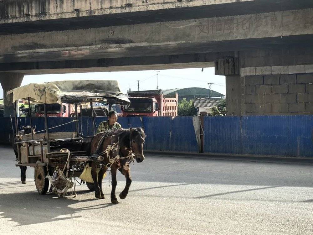 云南农民，忙着发财