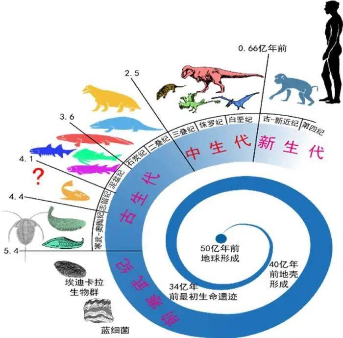 达尔文的进化论，被推翻了吗？